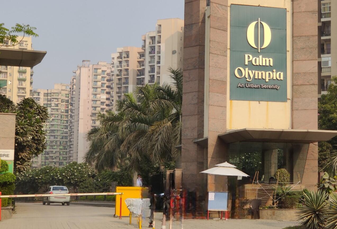 Sam Palm Olympia